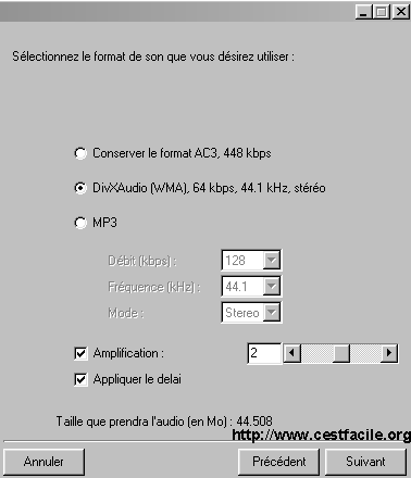 bivx format audio