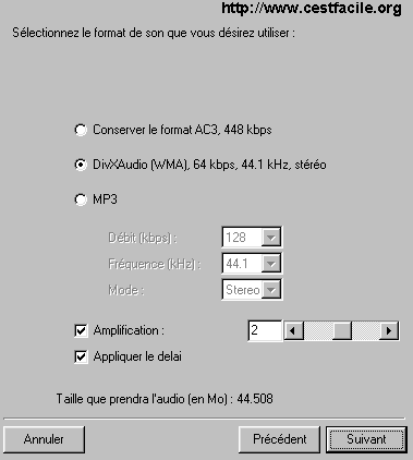 ac3 mp3 divx audio wma